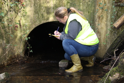 Ecological scoping survey
